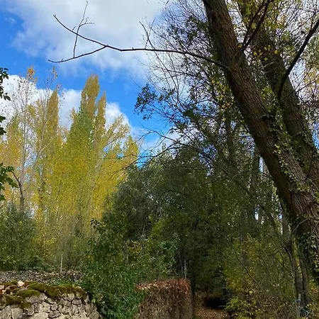 El Busque Casla